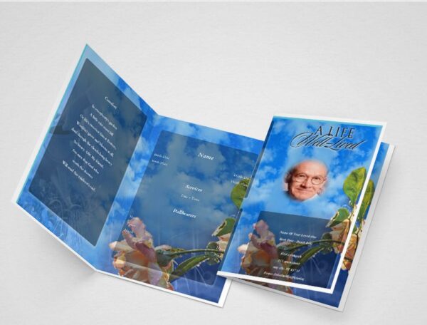 sky-high-3rd-Card.jpg